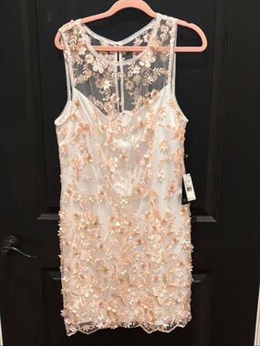 Adrianna Papell Ivory Mini Dress with Blush Floral Appliqué